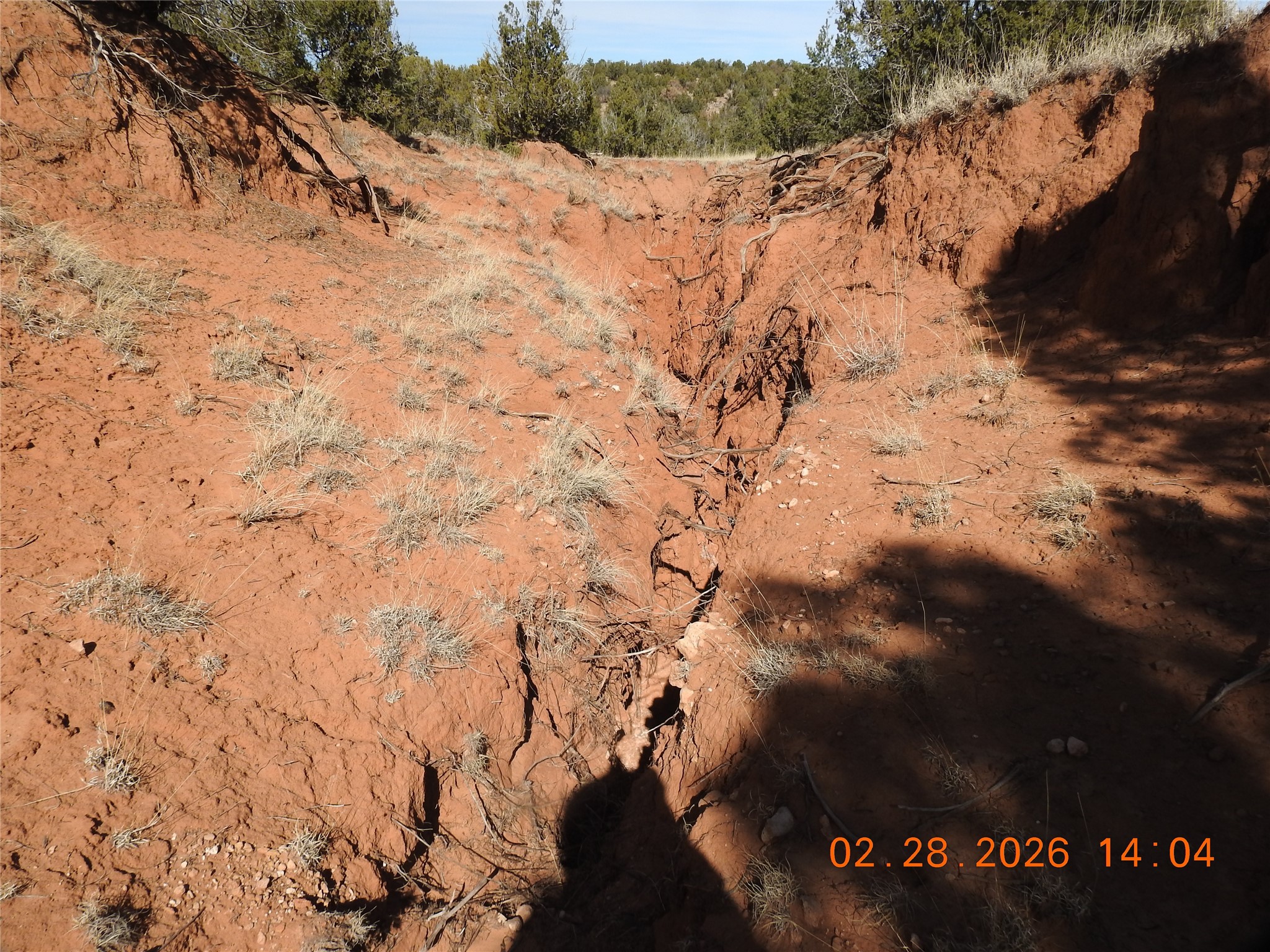 305 A Cr Ribera, NM 87560 - Photo 23 of 23