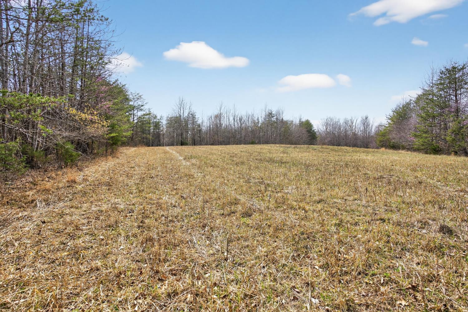 3805 Whipping Creek Road Gladys, VA 24554 - Photo 75 of 96