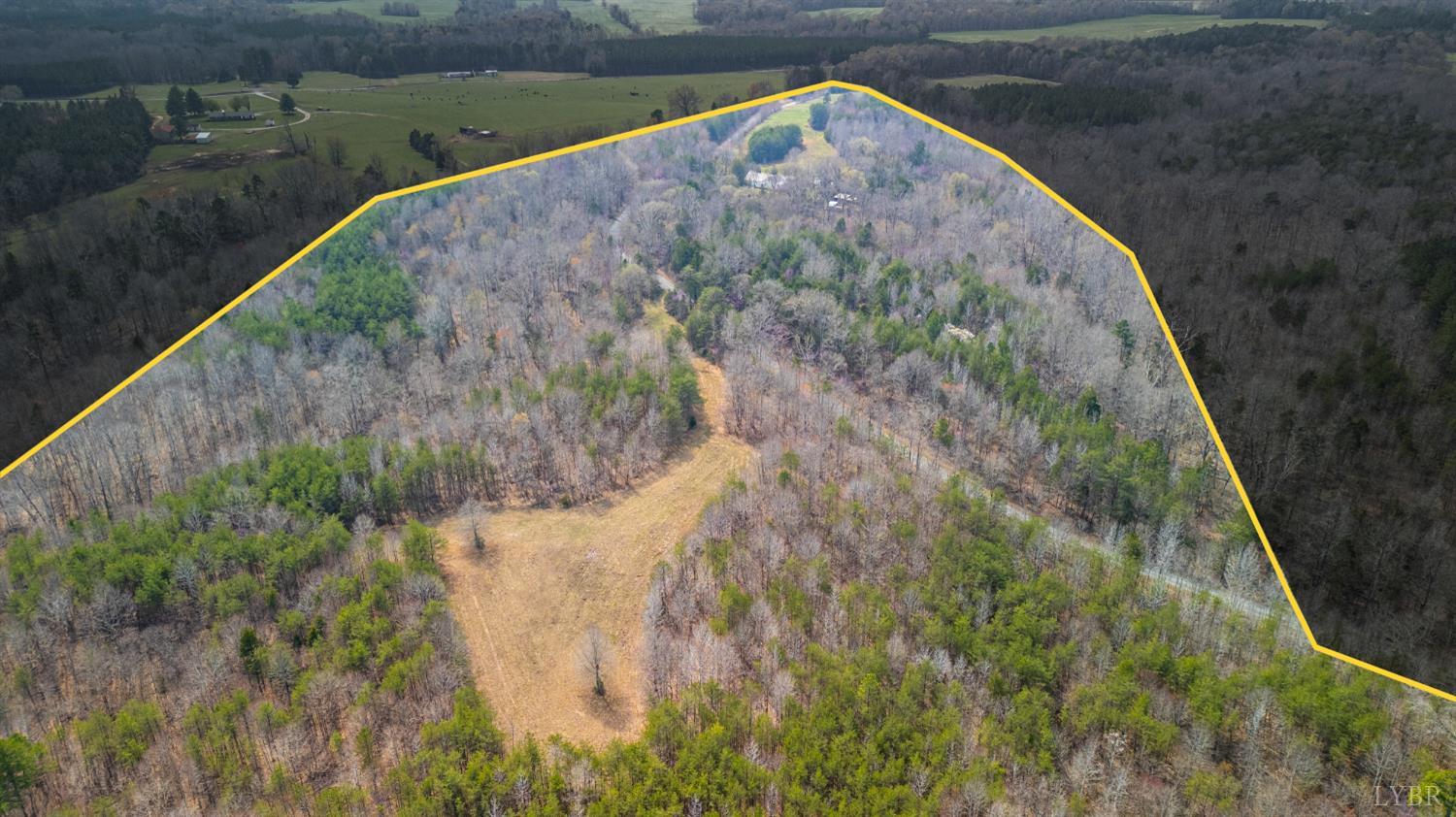 3805 Whipping Creek Road Gladys, VA 24554 - Photo 83 of 96 a view of a yard