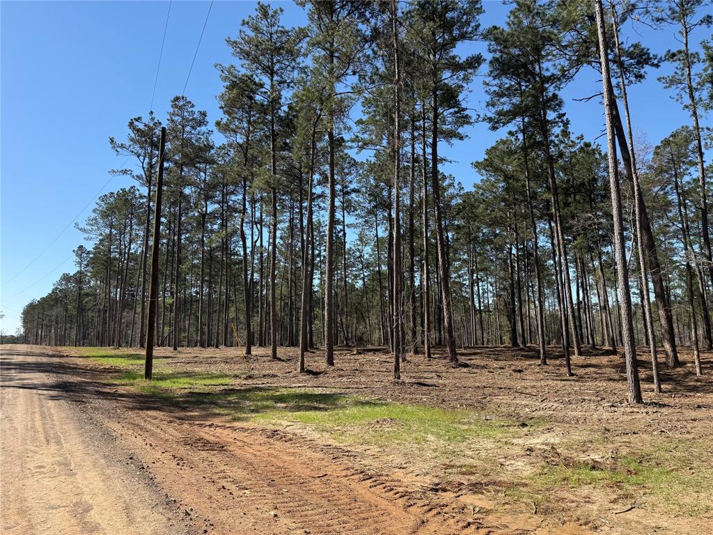 a view of outdoor space with trees