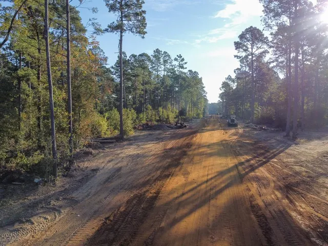 a view of a yard with trees