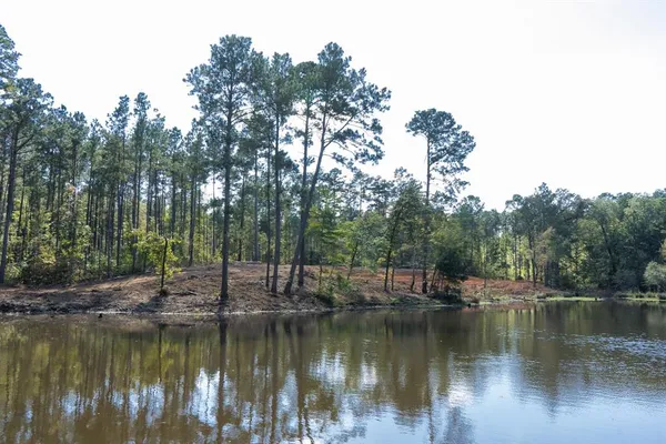 a view of a lake with trees