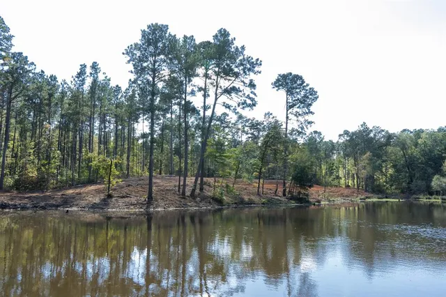 a view of a lake with trees