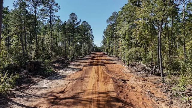 a view of a yard with trees