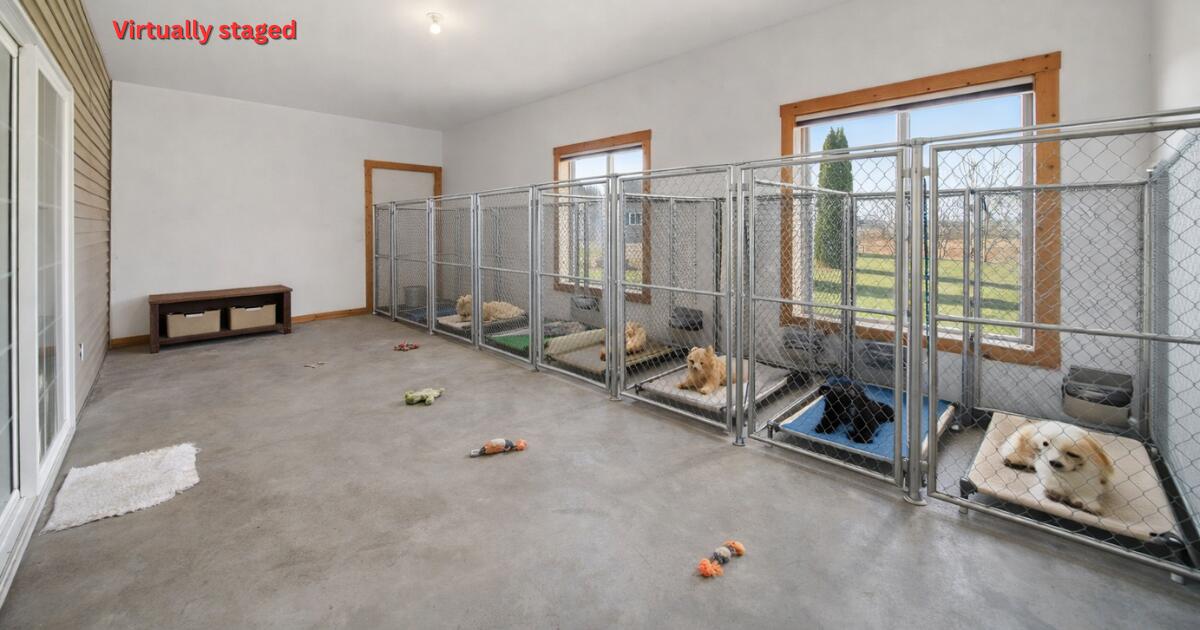 11323 Miner Road Parma, MI 49269 - Photo 54 of 65 Dog-kennel-staged-sunroom.jpg