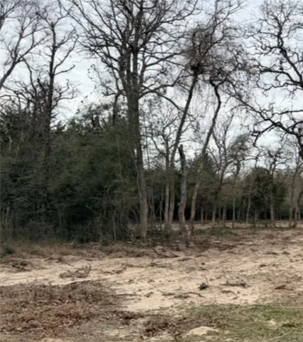 $75,000 | Lot 6-lonestar Lot 6-lonestar Lane, Unit LOT 6, Franklin, TX 77856