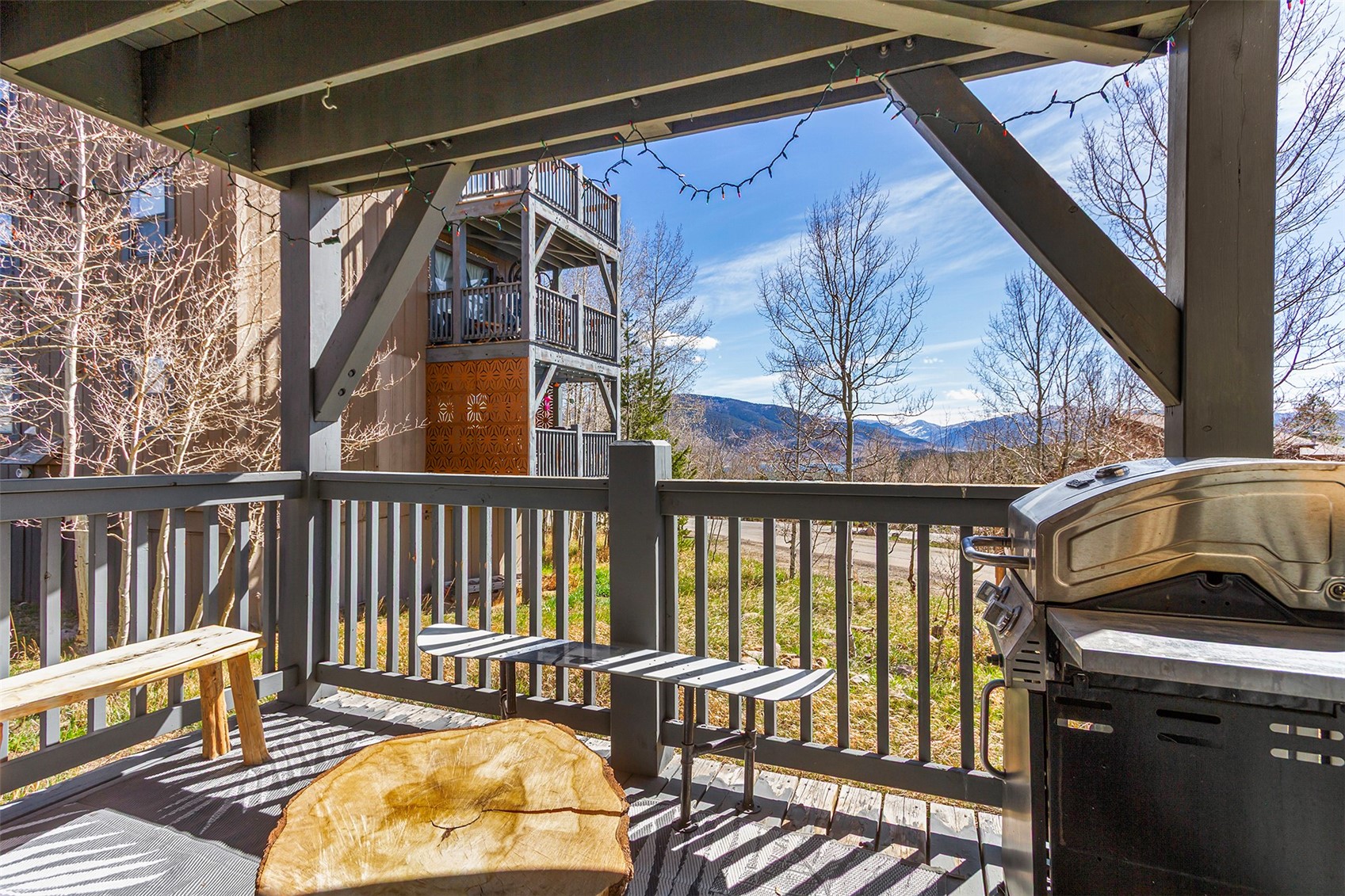 8010 Ryan Gulch Road, Unit B1 Silverthorne, CO 80498 - Photo 6 of 25