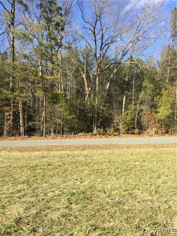 None Sizer Road Beaverdam, VA 23015 - Photo 3 of 4 a view of an ocean view