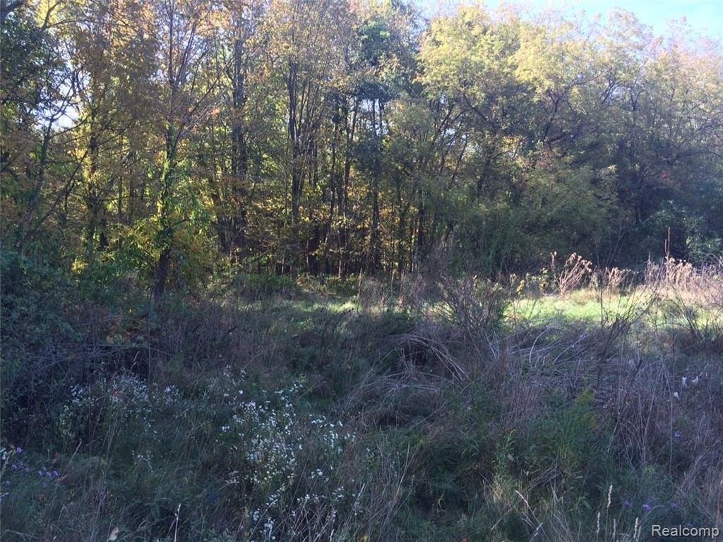 4770 Raap Road Romeo, MI 48065 - Photo 2 of 3