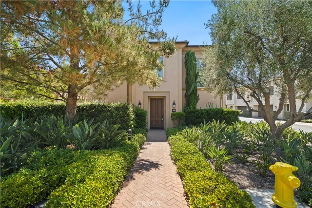 a view of a pathway with plants and large trees