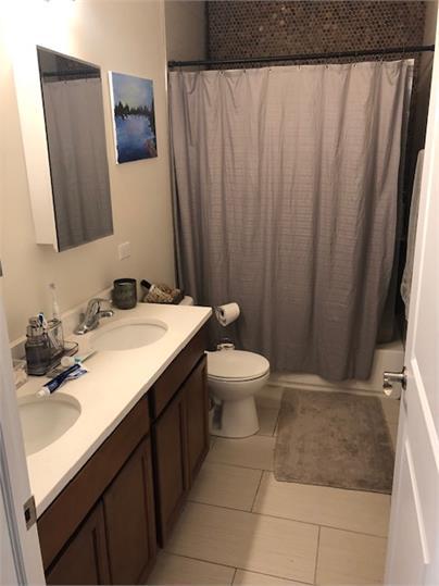 1734 West 35th Street, Unit 1R Chicago, IL 60609 - Photo 6 of 7 a bathroom with a sink and a mirror