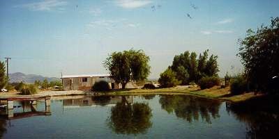 41077 Chloride Road Newberry Springs, CA 92365 - Photo 1 of 1 Gallery Image 1