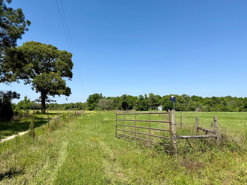 11.25-acres Huskey Road Dothan, AL 36303 - Photo 4 of 13