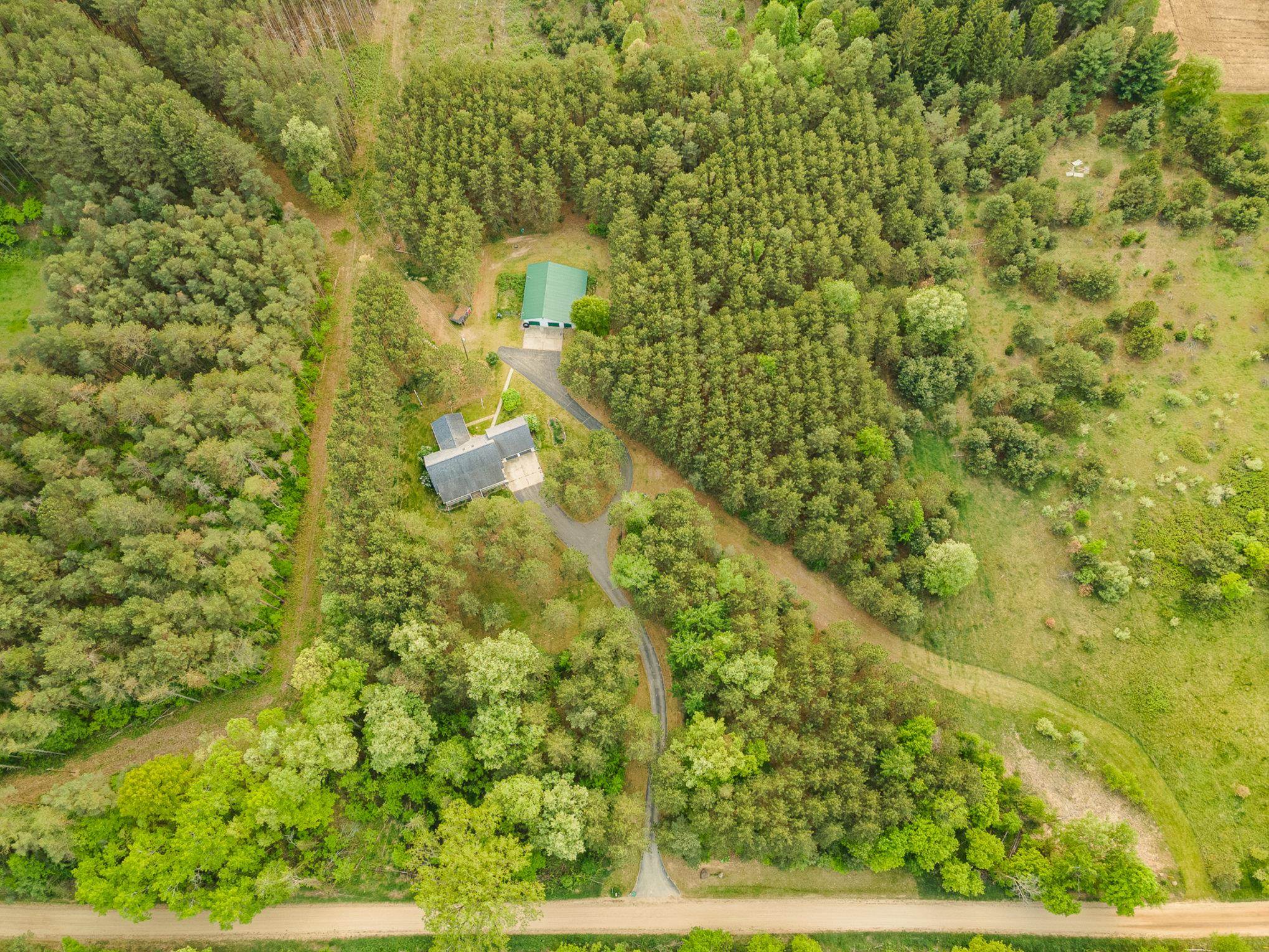 9470 South Fordyce Road Shepherd, MI 48883 - Photo 9 of 38