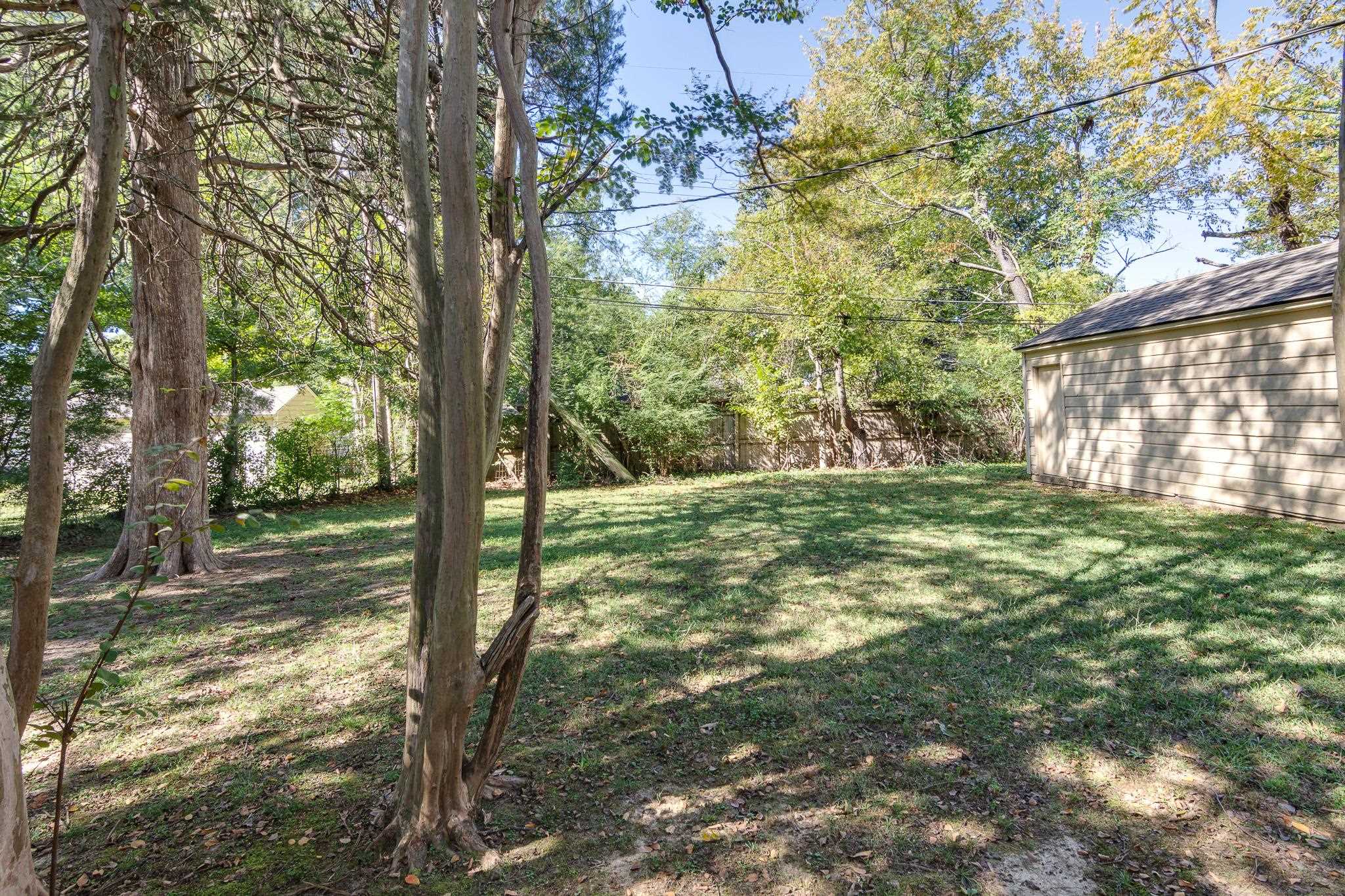 695 Berry Road Memphis, TN 38117 - Photo 21 of 32 a view of a yard with large trees