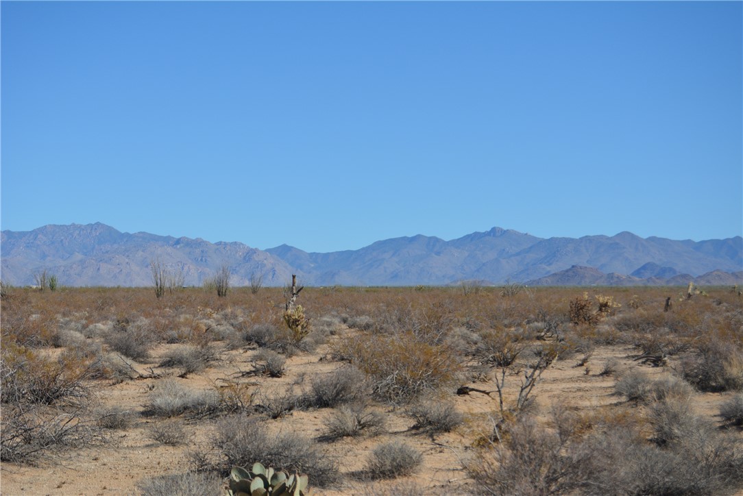 207-35-005 South Arlington Road Yucca, AZ 86438 - Photo 8 of 92
