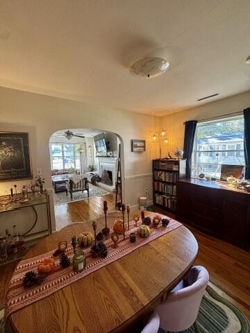 359 Howle Avenue Charleston, SC 29412 - Photo 13 of 30 5EEFBA93-7D35-4153-B224-FB4F4C428434_4_5