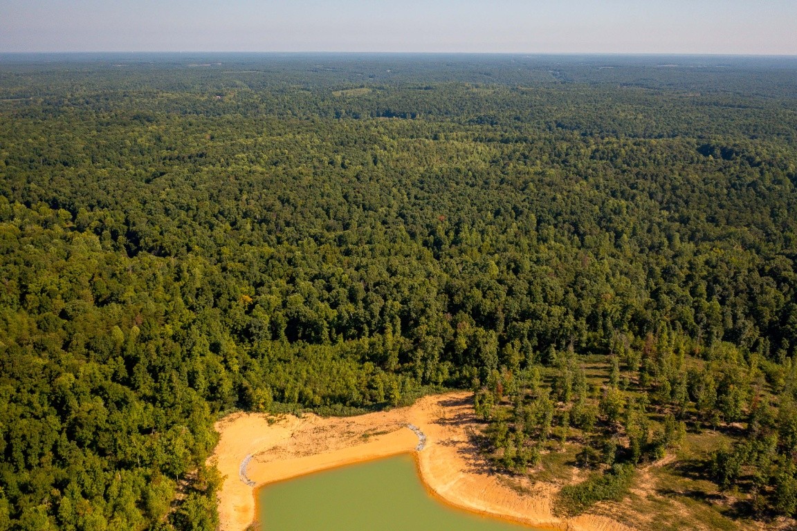 0 Gray Branch Road McEwen, TN 37101 - Photo 11 of 18 Gallery Image 11