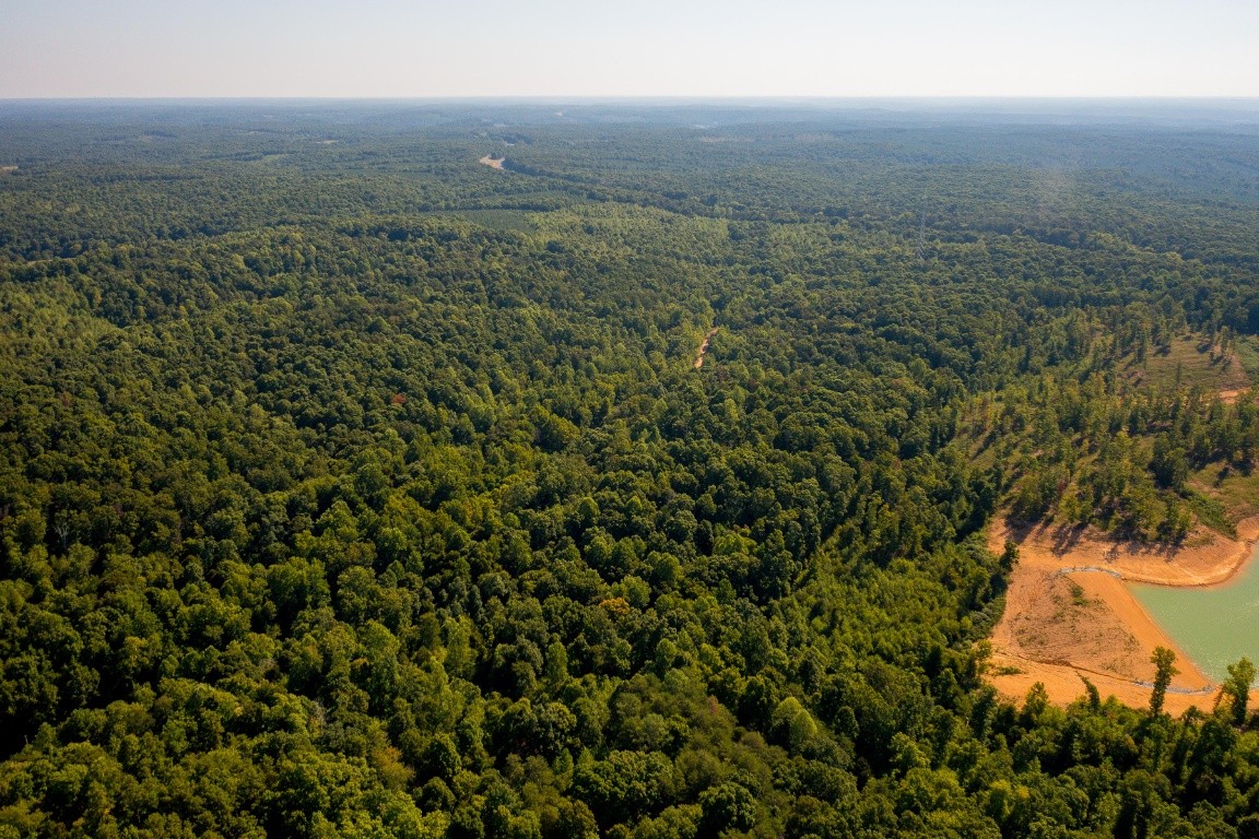 0 Gray Branch Road McEwen, TN 37101 - Photo 12 of 18 Gallery Image 12