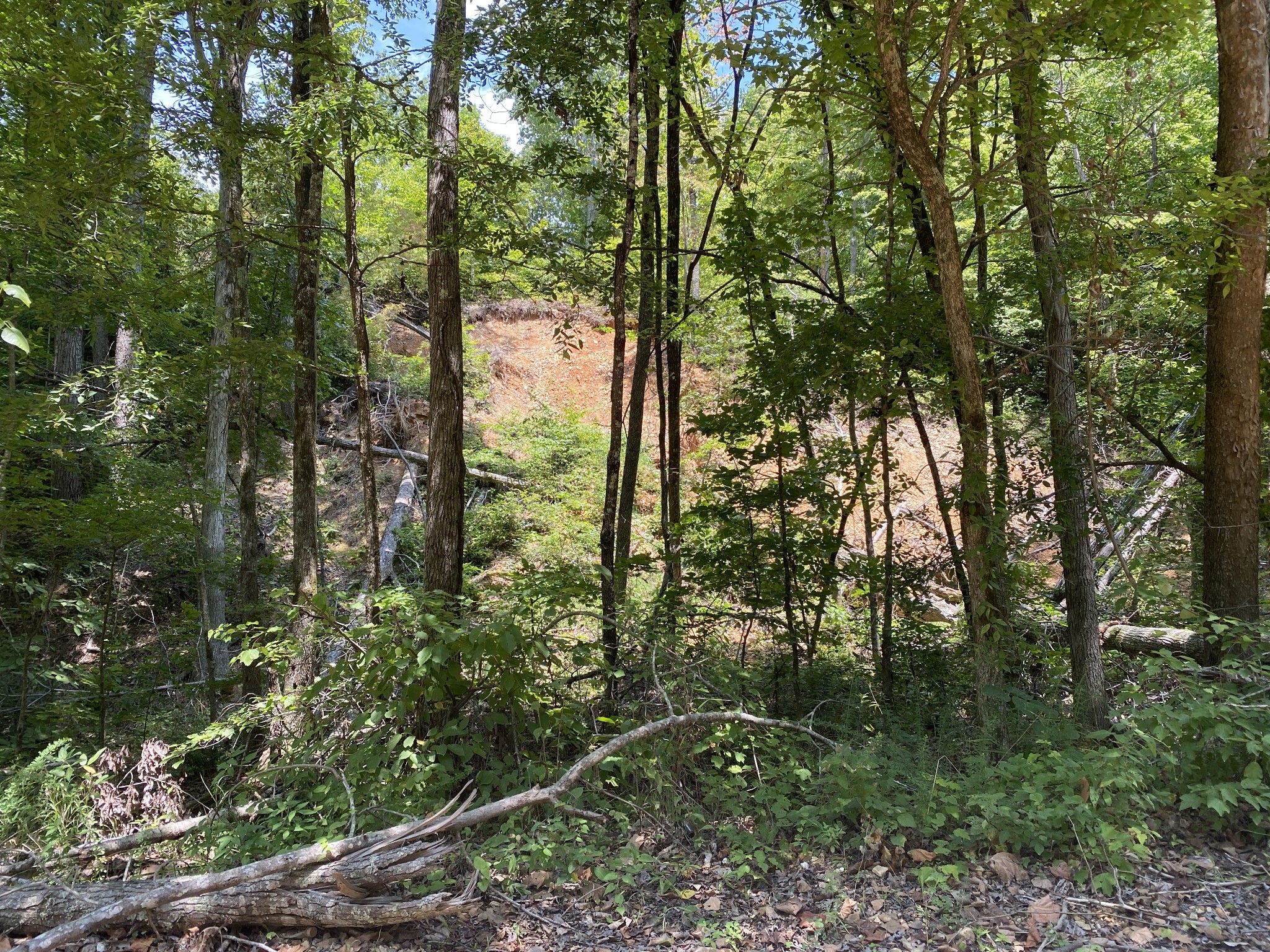 0 Gray Branch Road McEwen, TN 37101 - Photo 16 of 18 Gallery Image 16