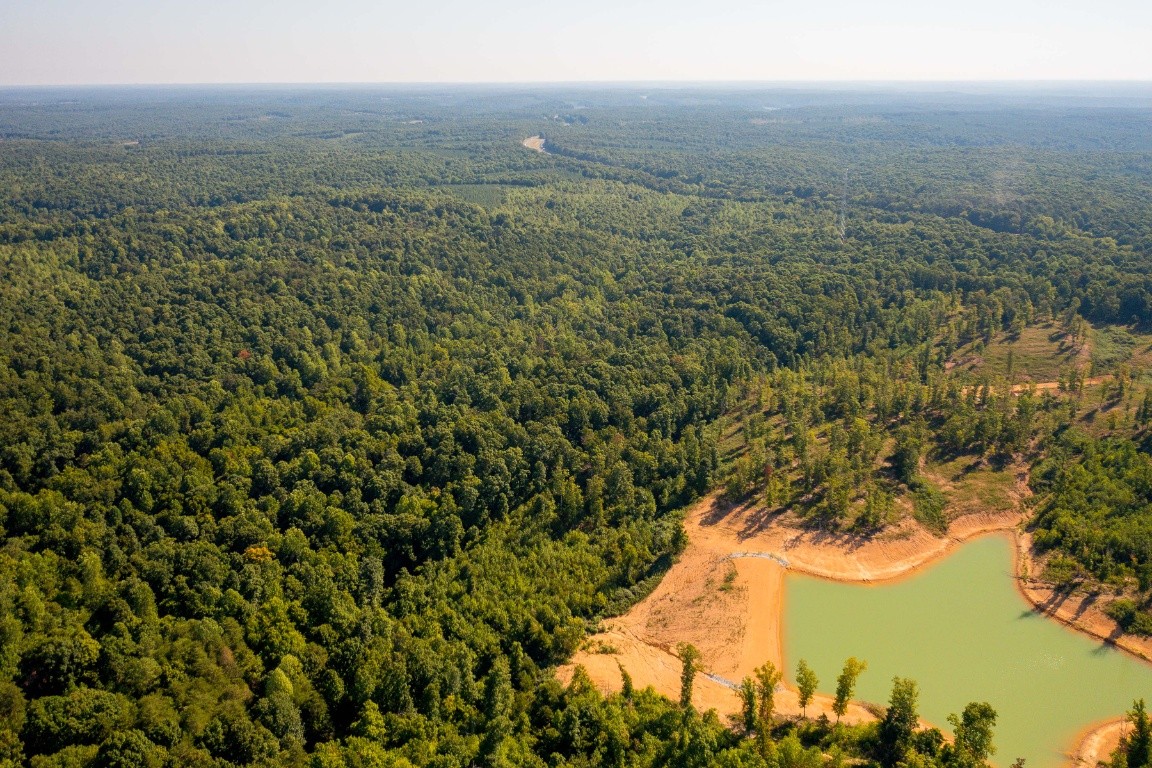 0 Gray Branch Road McEwen, TN 37101 - Photo 10 of 18 Gallery Image 10