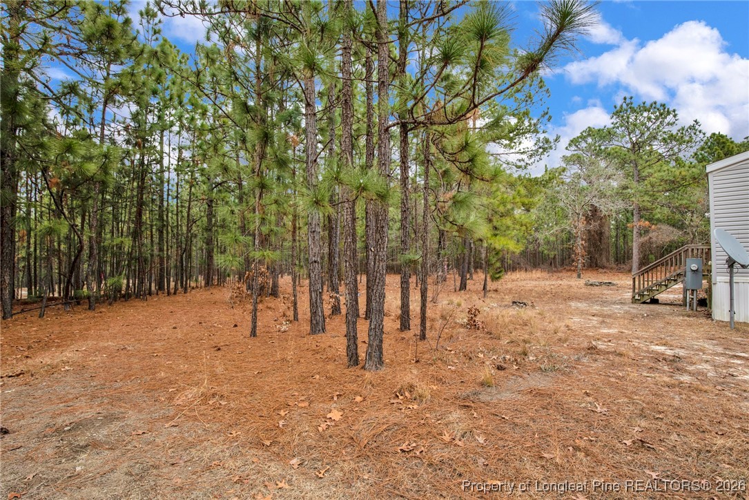 240 Burtons Lane Cameron, NC 28326 - Photo 24 of 33
