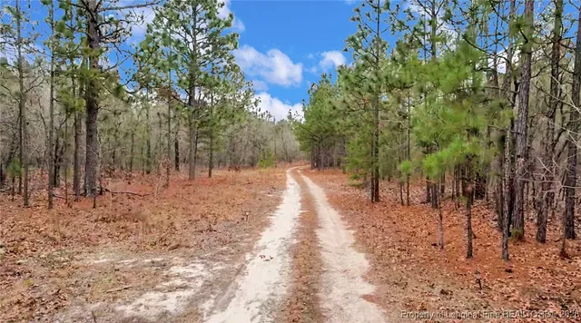 $100,000 | 240 Burtons Lane, Cameron, NC 28326