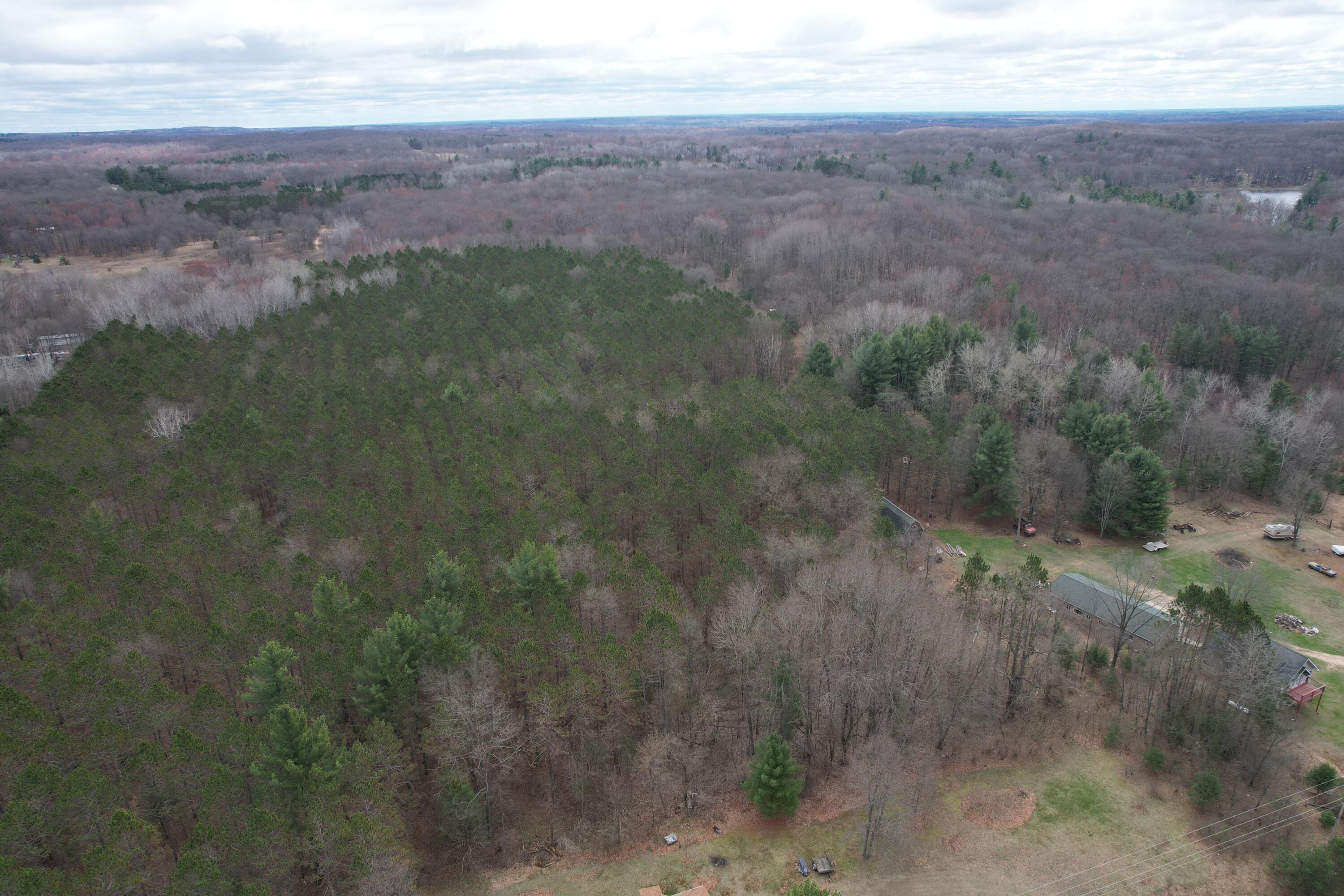 0 West Jefferson Road Harrison, MI 48625 - Photo 6 of 12 DJI_0219