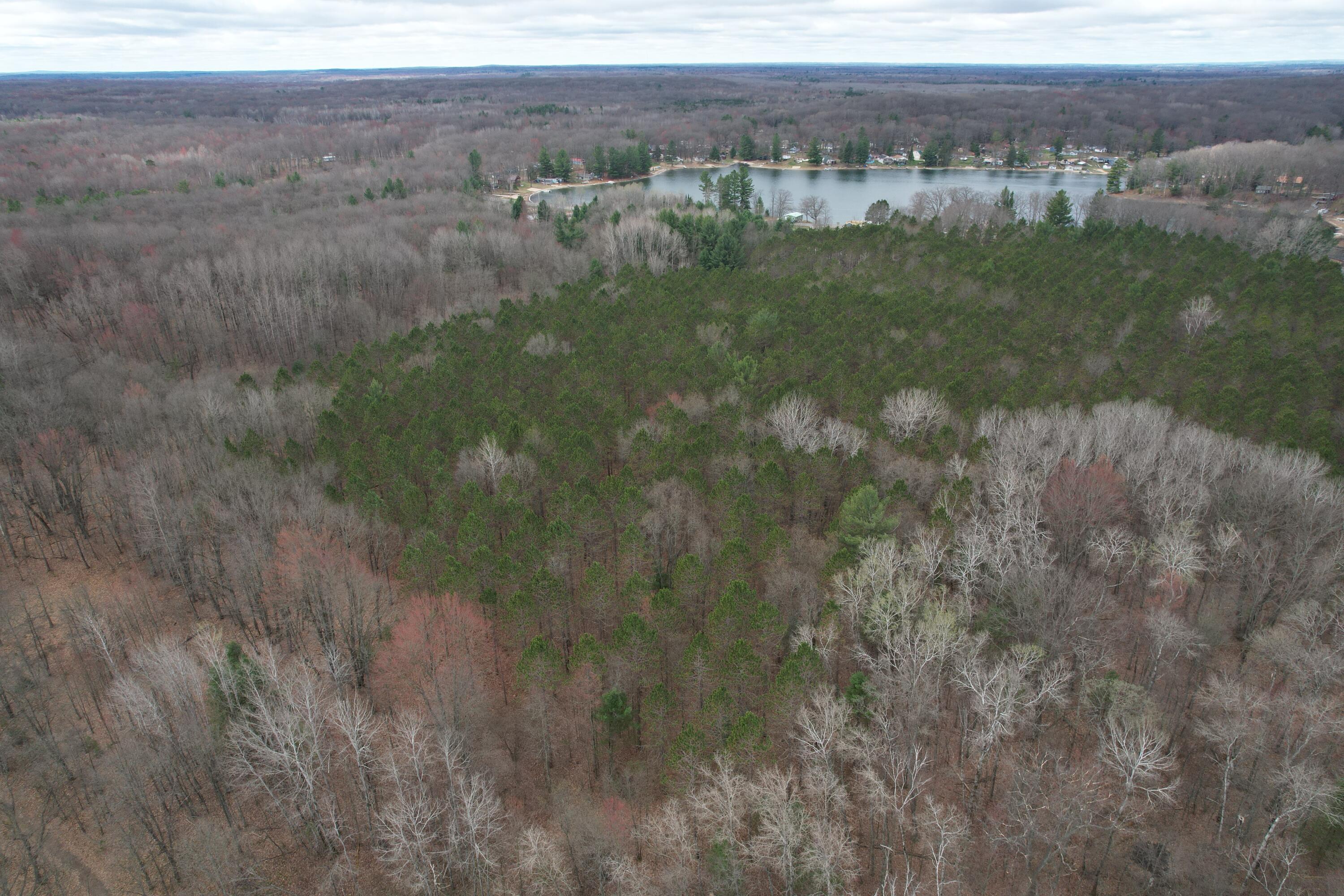 0 West Jefferson Road Harrison, MI 48625 - Photo 7 of 12 DJI_0220