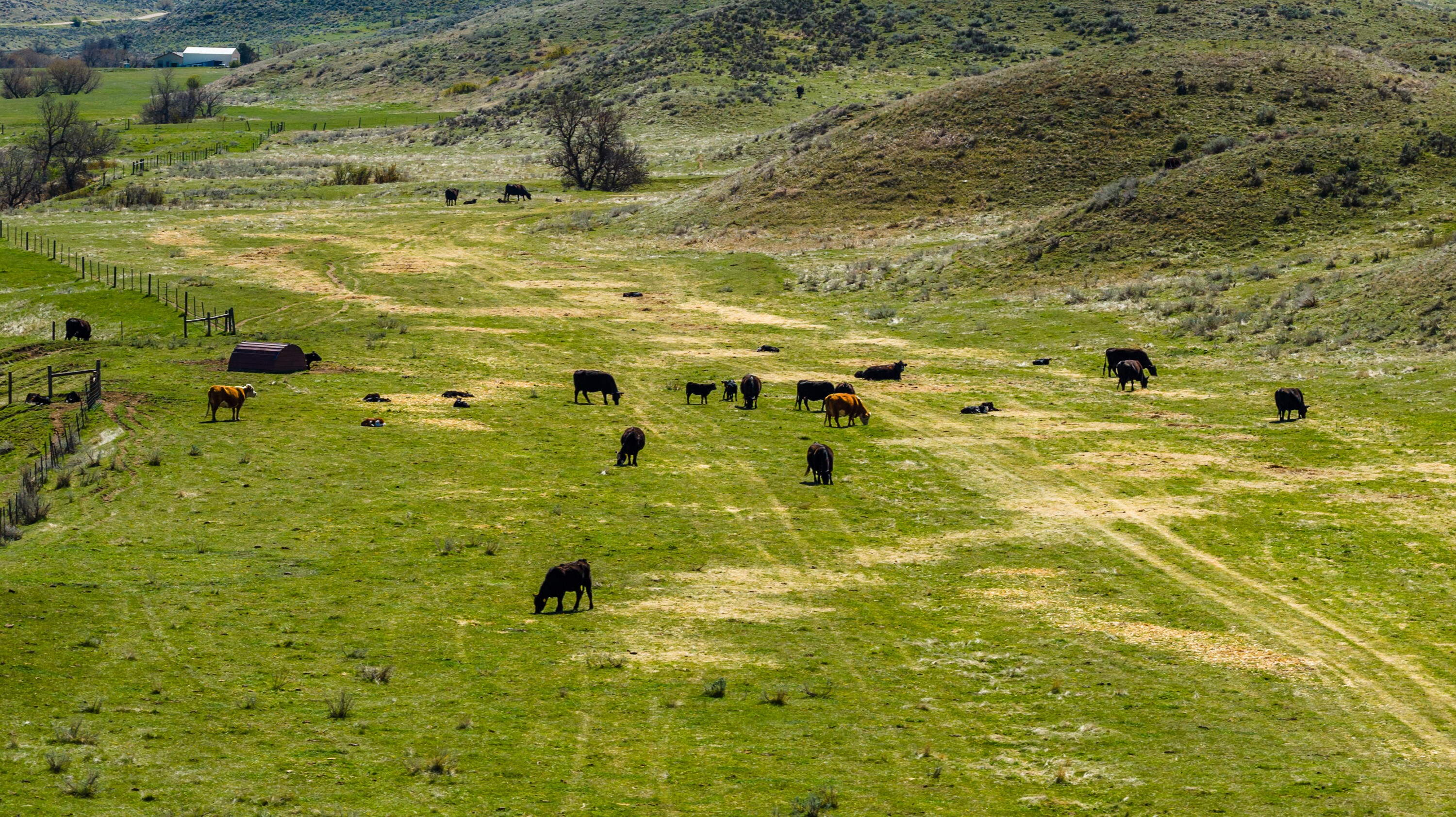 366 South R Buffalo Creek Road Wyarno, WY 82845 - Photo 41 of 71 366 s r buffalo creek rd 035