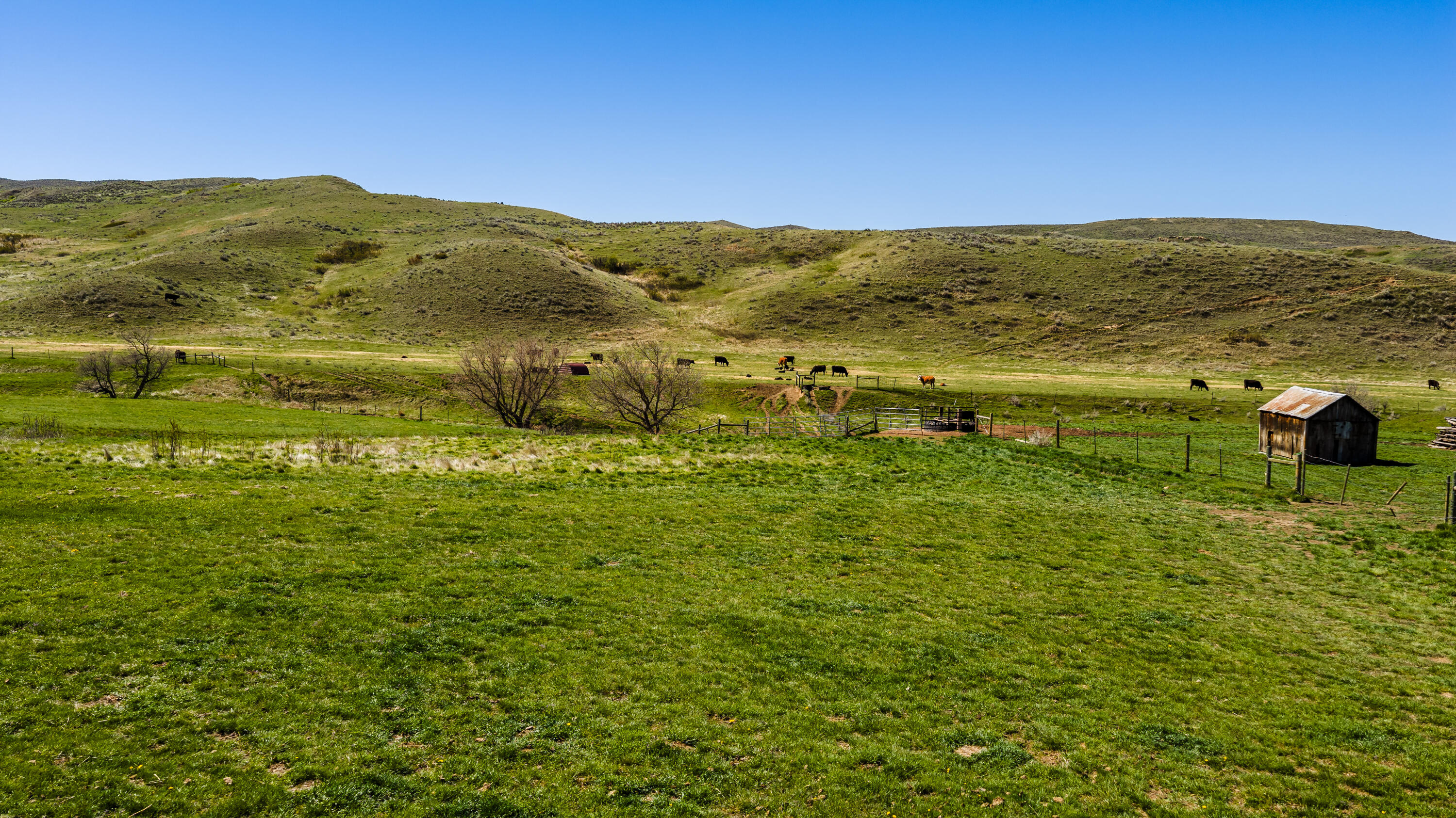366 South R Buffalo Creek Road Wyarno, WY 82845 - Photo 48 of 71 366 s r buffalo creek rd 042