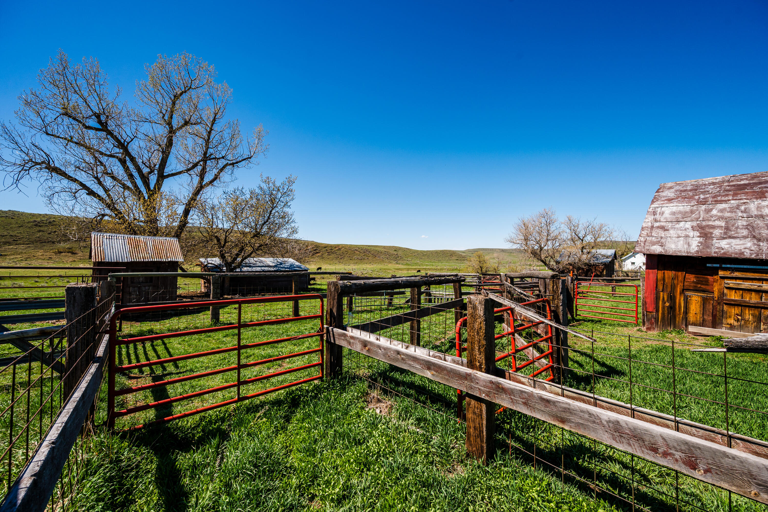 366 South R Buffalo Creek Road Wyarno, WY 82845 - Photo 54 of 71 366 s r buffalo creek rd 054