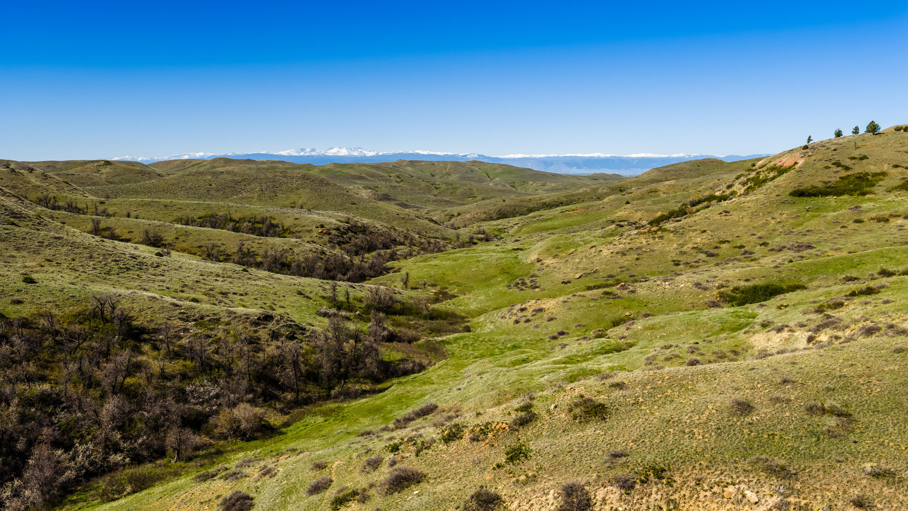 366 South R Buffalo Creek Road Wyarno, WY 82845 - Photo 10 of 71 366 s r buffalo creek rd 009