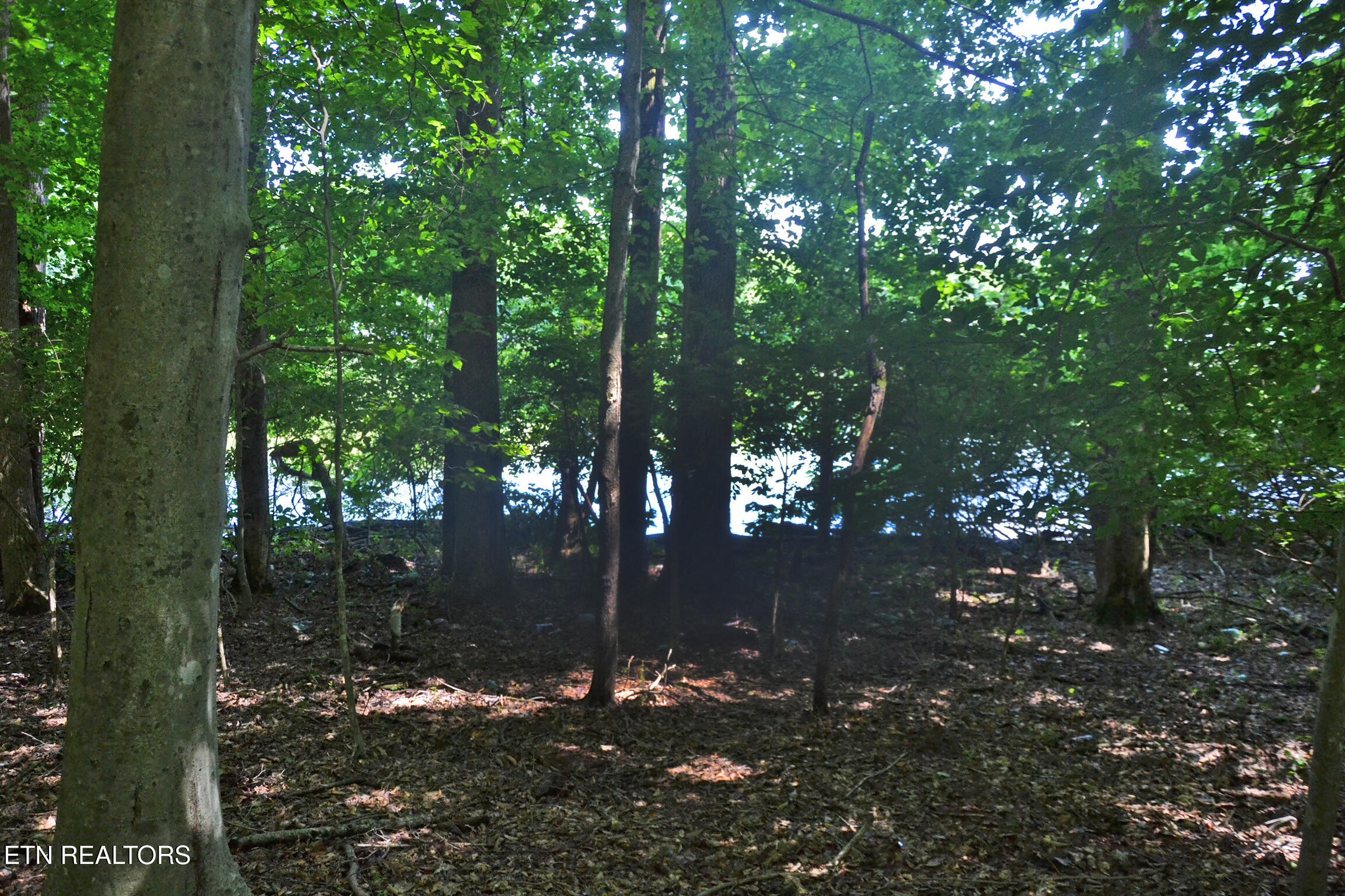 0 Topside Road Knoxville, TN 37920 - Photo 5 of 6 DSC_0368