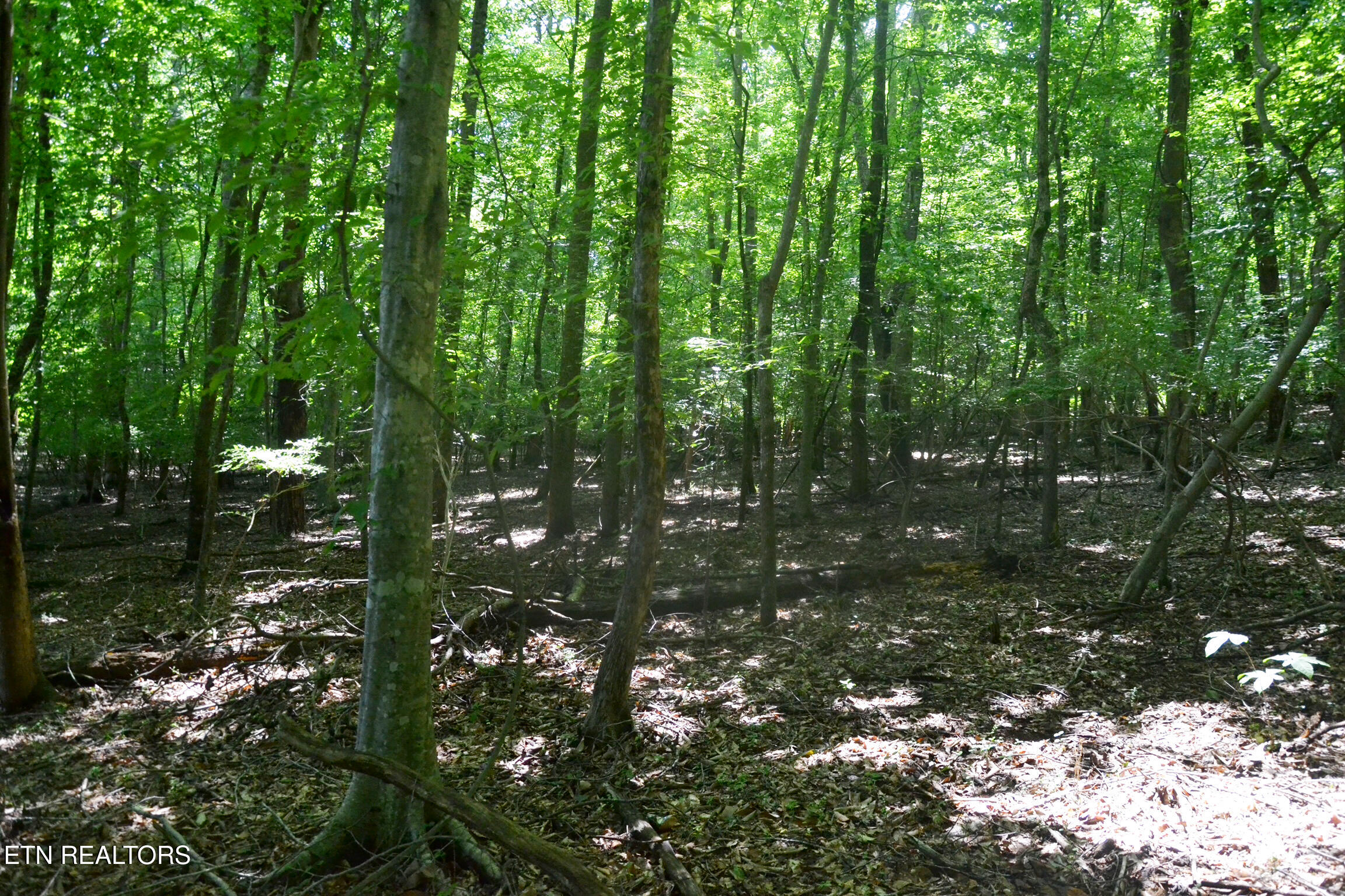0 Topside Road Knoxville, TN 37920 - Photo 6 of 6 DSC_0367