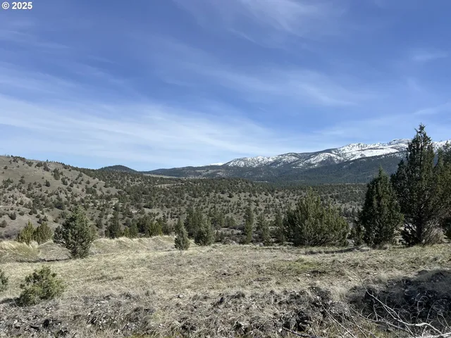 a view of a dry yard with mountains in the background