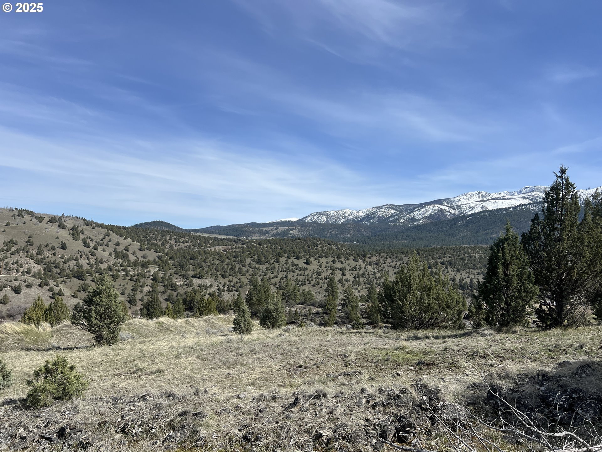 a view of a dry yard with mountains in the background