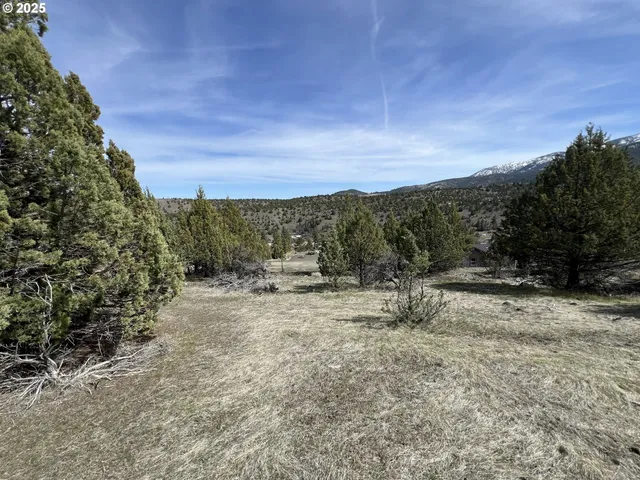 a view of a dry field with trees in the background