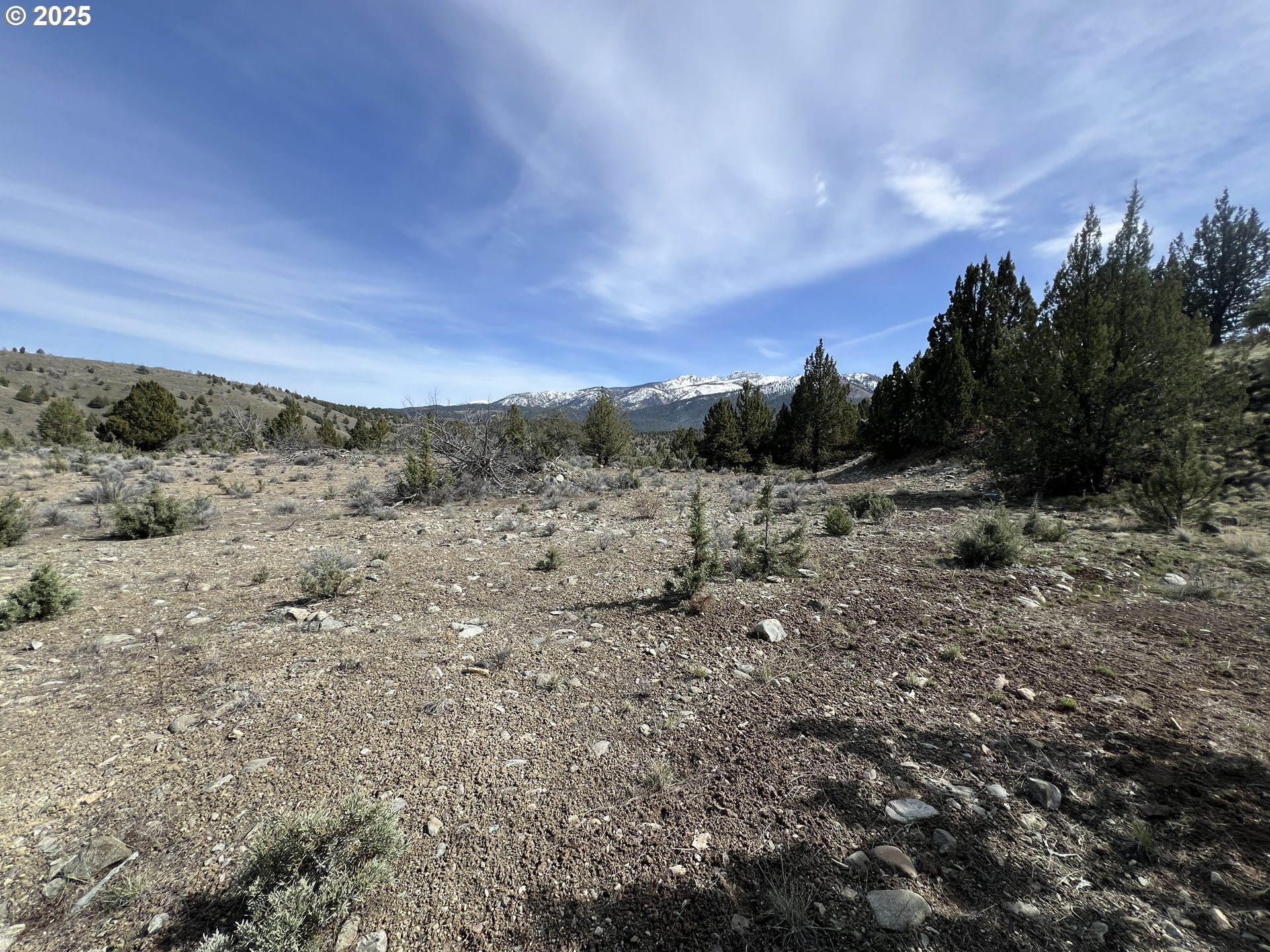 Blue Gulch Road John Day, OR 97845 - Photo 12 of 44 a view of a dry field with trees in the background