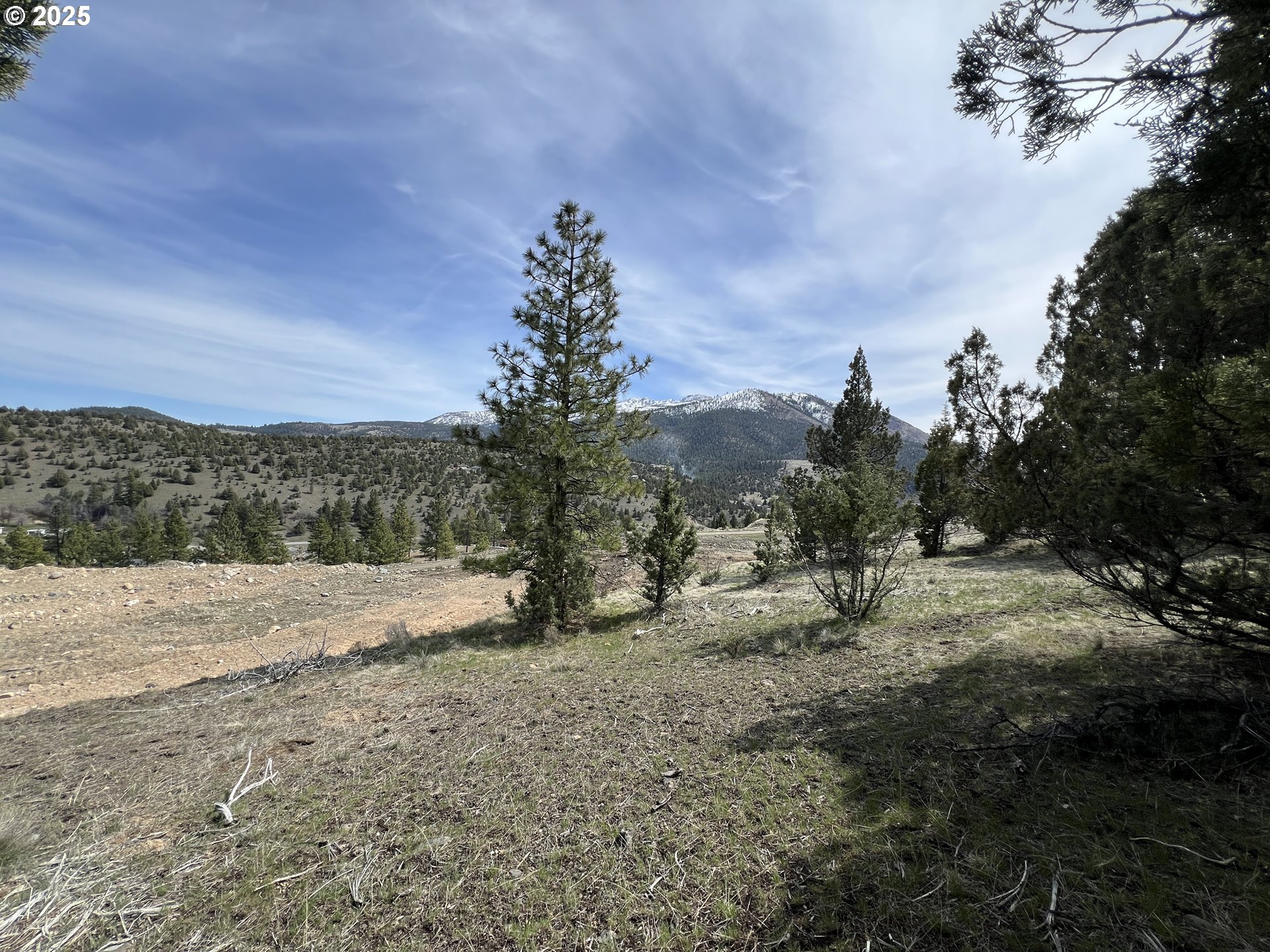 Blue Gulch Road John Day, OR 97845 - Photo 14 of 44 a view of a yard with trees in the background