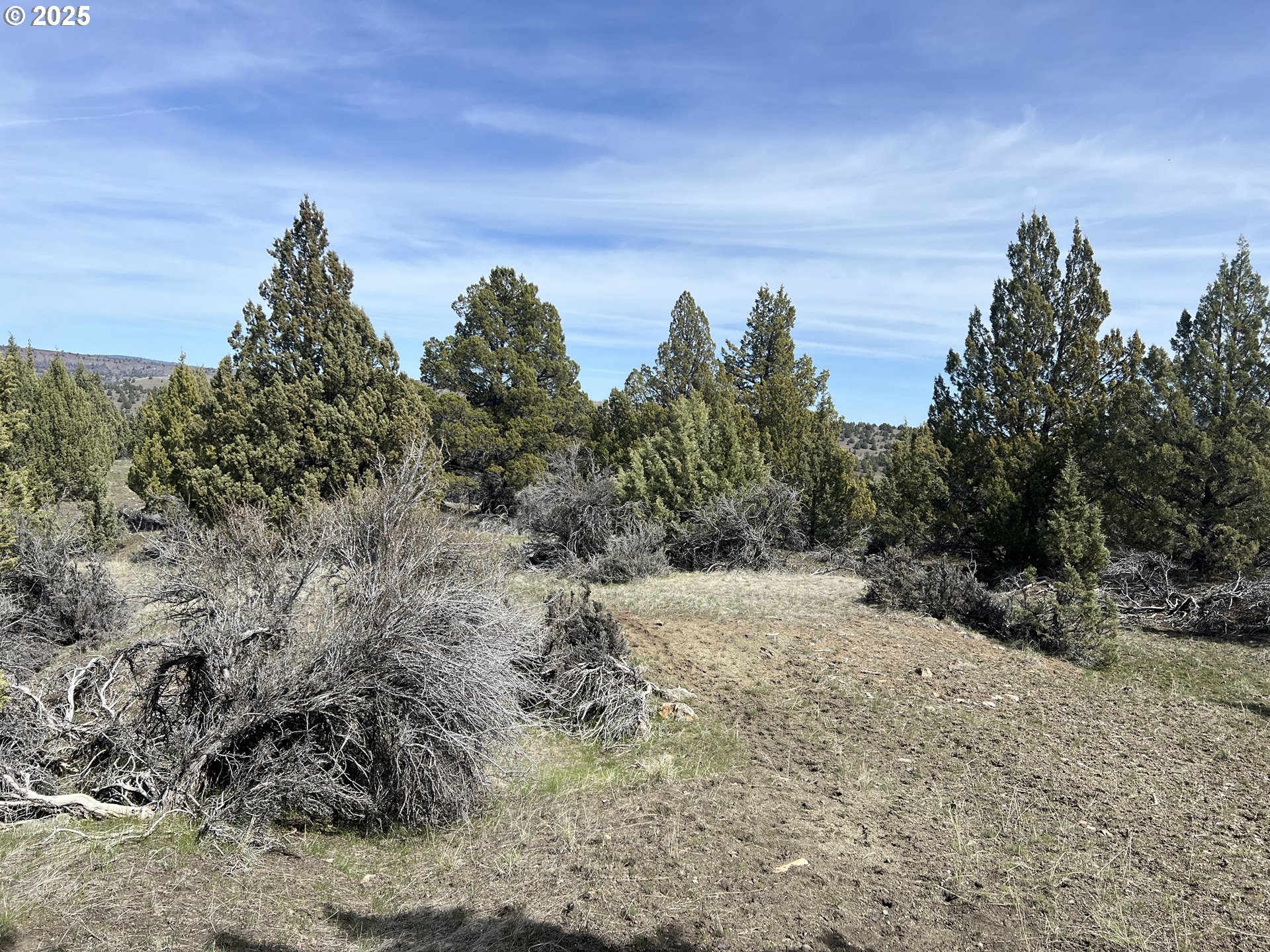 Blue Gulch Road John Day, OR 97845 - Photo 15 of 44 a view of a dry yard with trees in the background