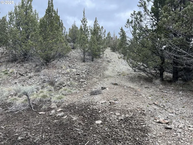 a close view of a bathroom