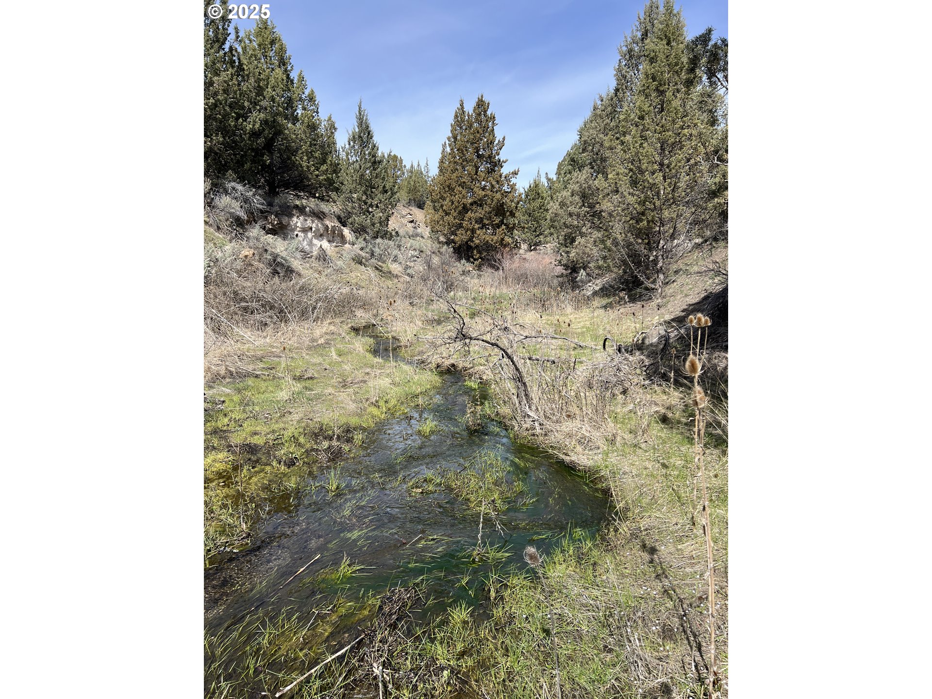 Blue Gulch Road John Day, OR 97845 - Photo 17 of 44 a close view of a bathroom