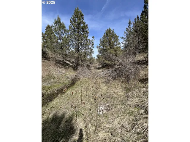 a view of a building with trees in the background