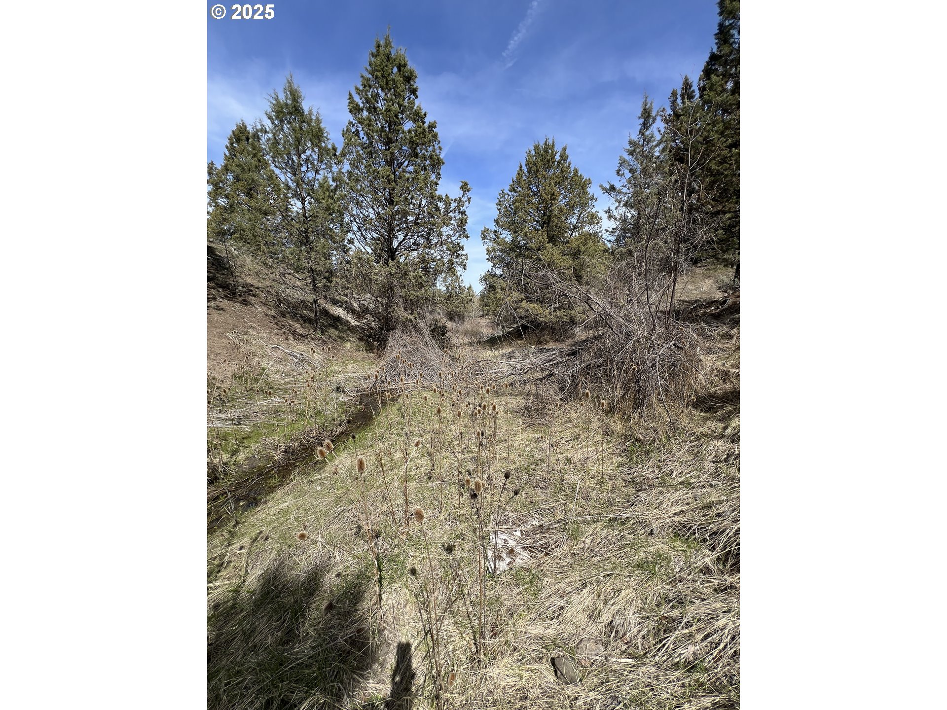 Blue Gulch Road John Day, OR 97845 - Photo 19 of 44