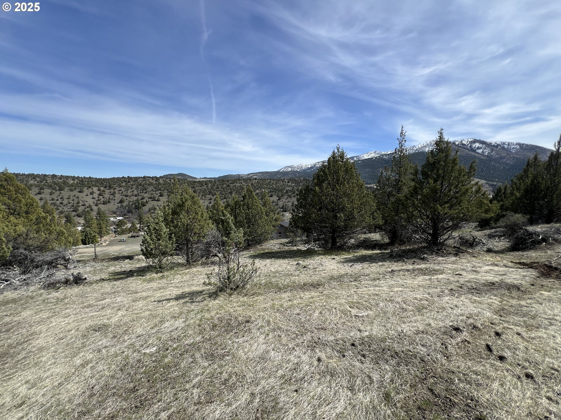 Blue Gulch Road John Day, OR 97845 - Photo 20 of 44 a view of a dry yard with trees