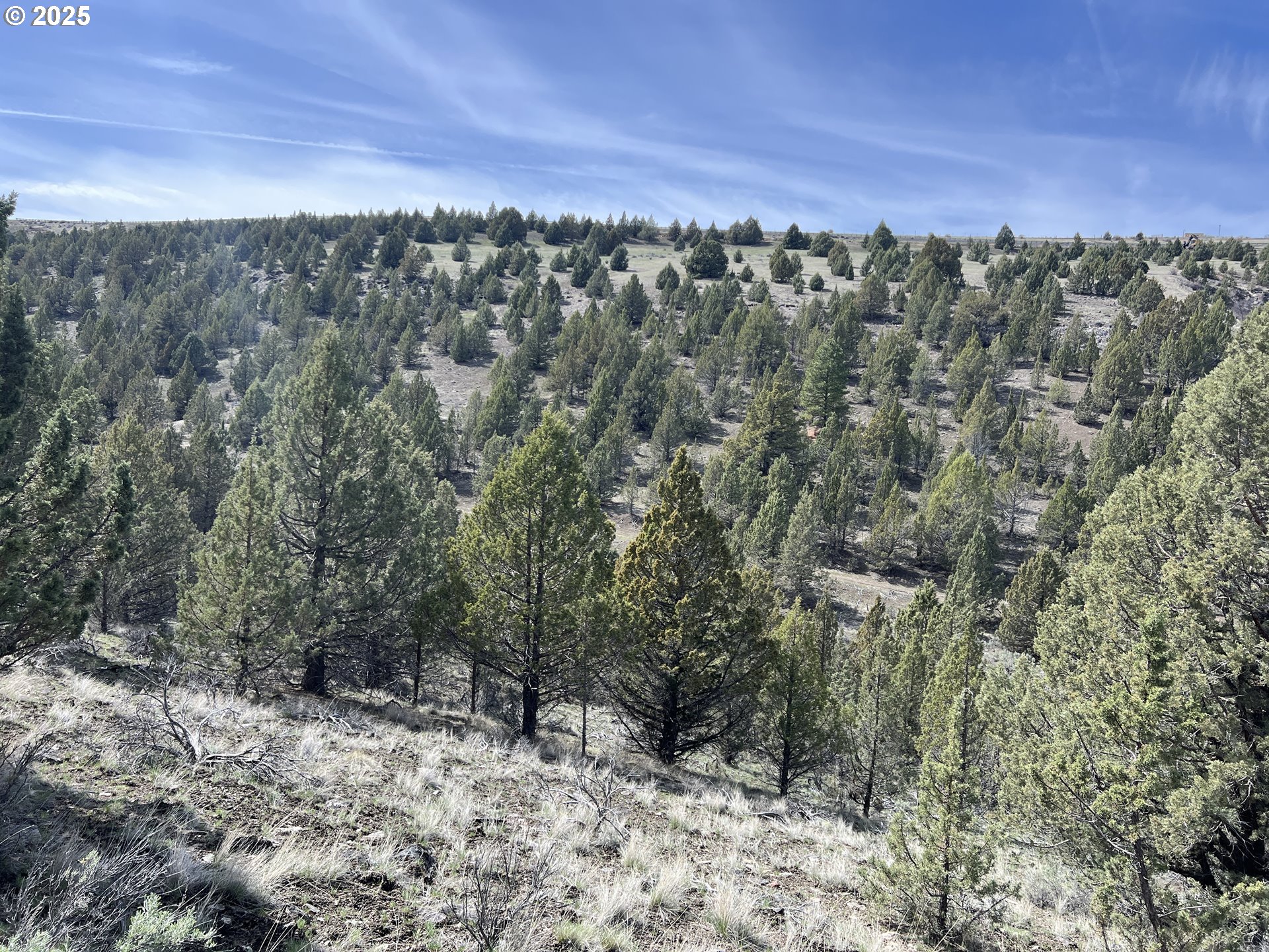 Blue Gulch Road John Day, OR 97845 - Photo 21 of 44 a view of a building with trees in the background