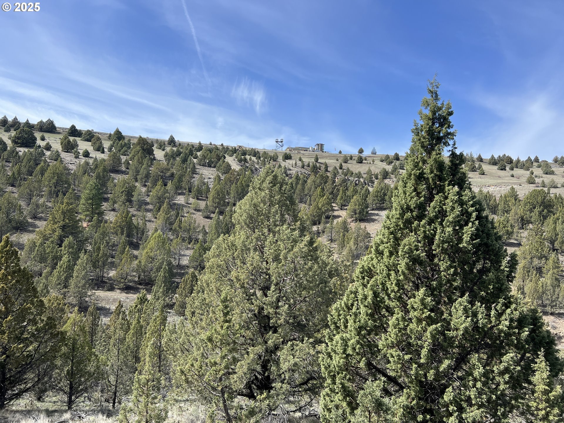 Blue Gulch Road John Day, OR 97845 - Photo 22 of 44 a view of a city with lush green forest