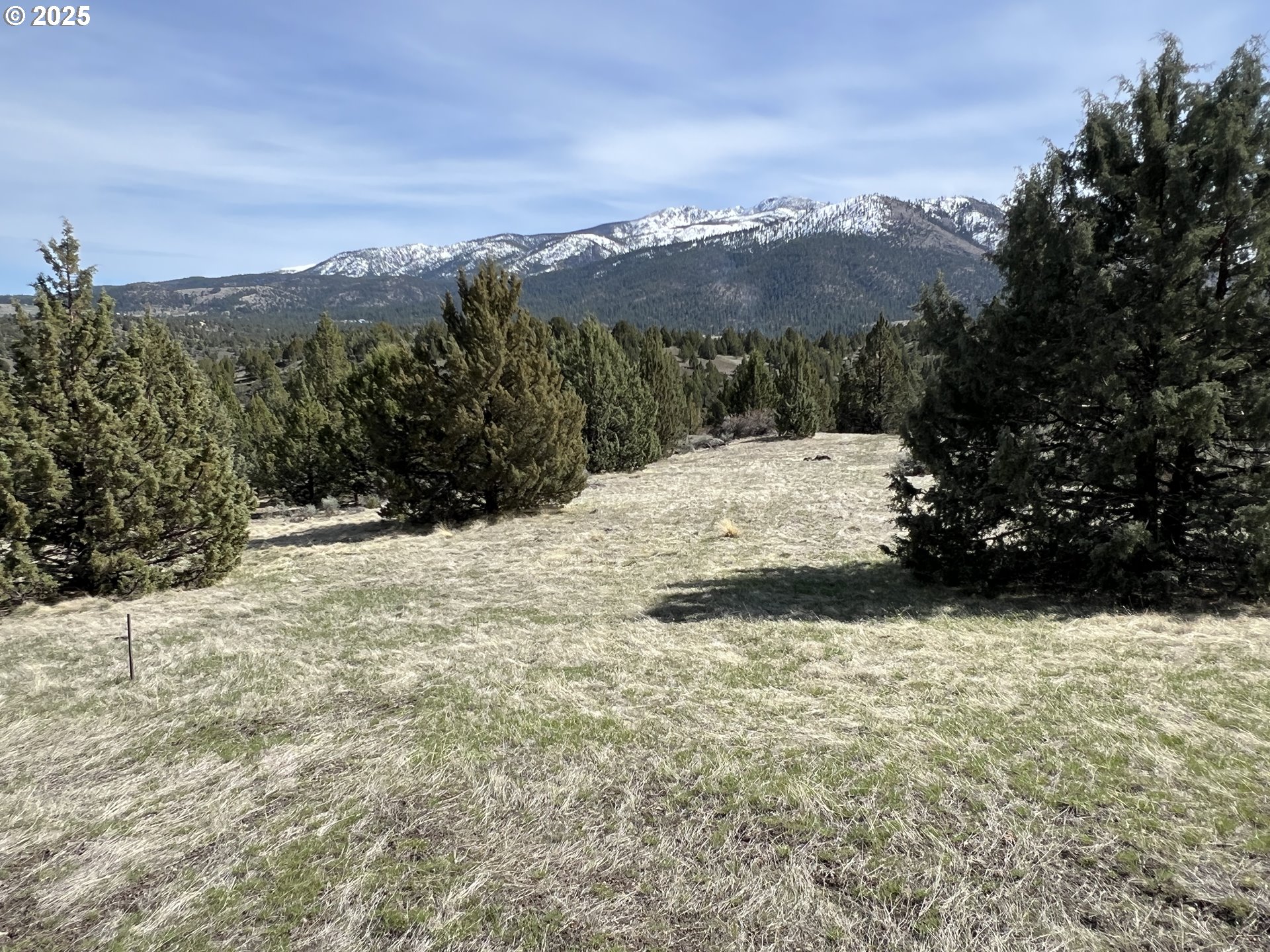 Blue Gulch Road John Day, OR 97845 - Photo 25 of 44 a view of a yard with a tree