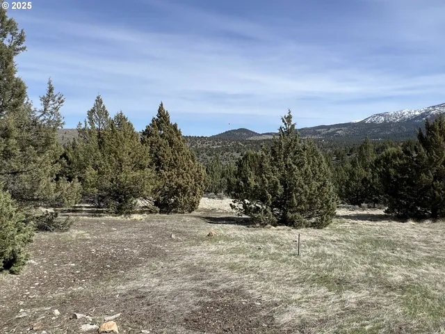 a close up of a sink
